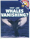 Cover of Why Are Whales Vanishing?
